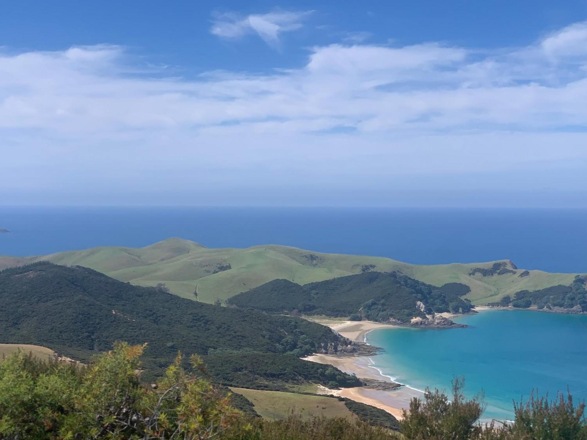 Pukenui Green Turtle Cottage מראה חיצוני תמונה