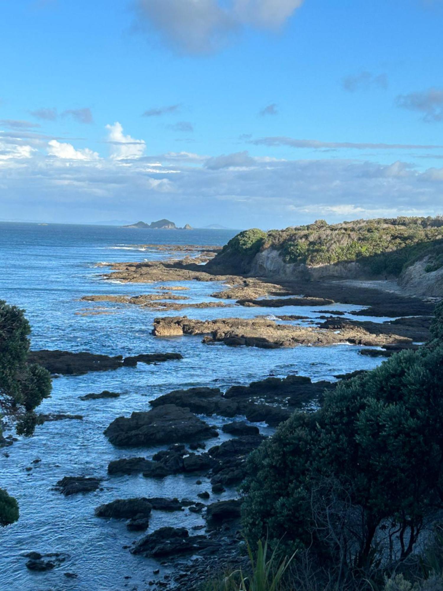Pukenui Green Turtle Cottage מראה חיצוני תמונה