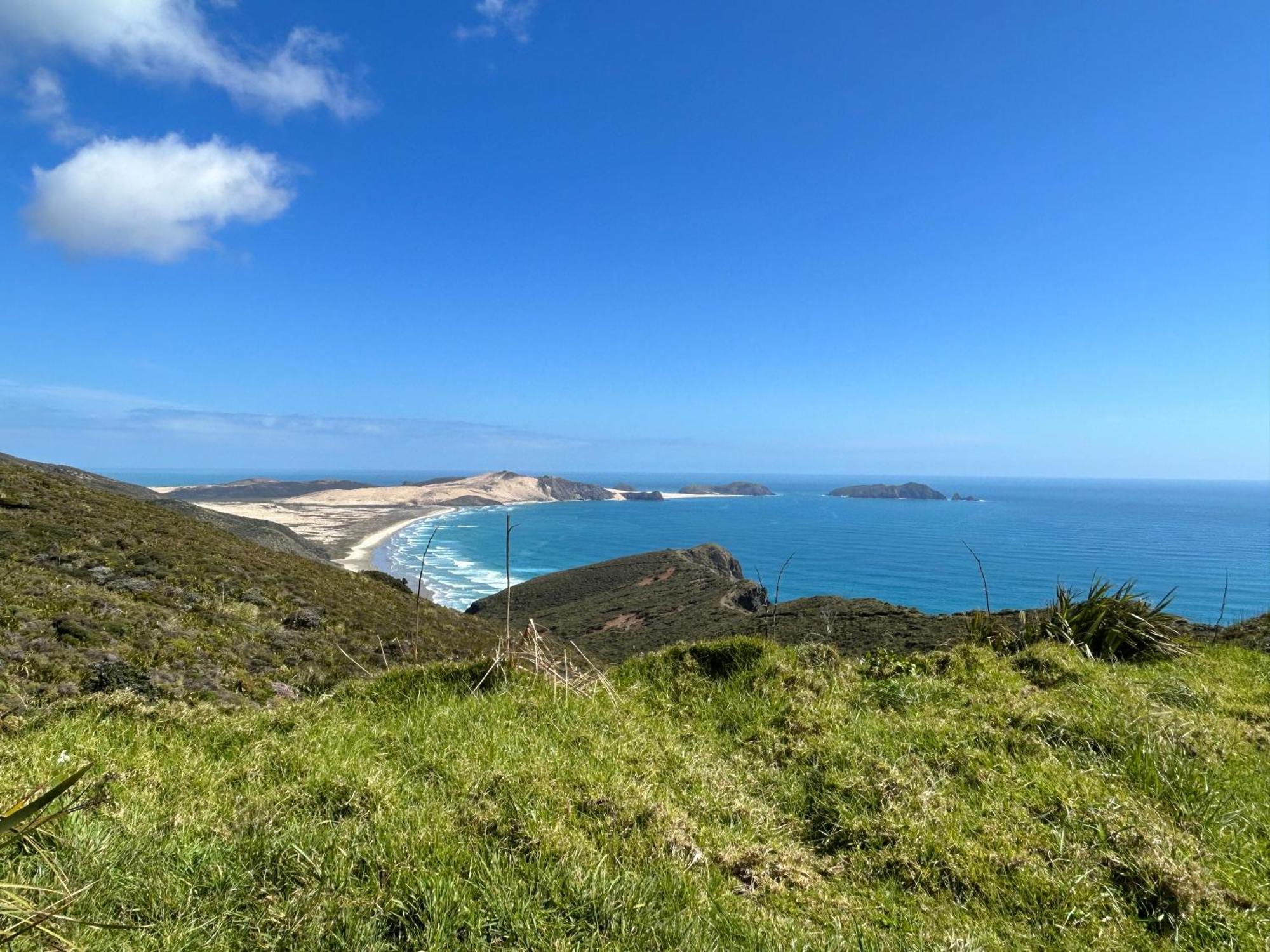 Pukenui Green Turtle Cottage מראה חיצוני תמונה